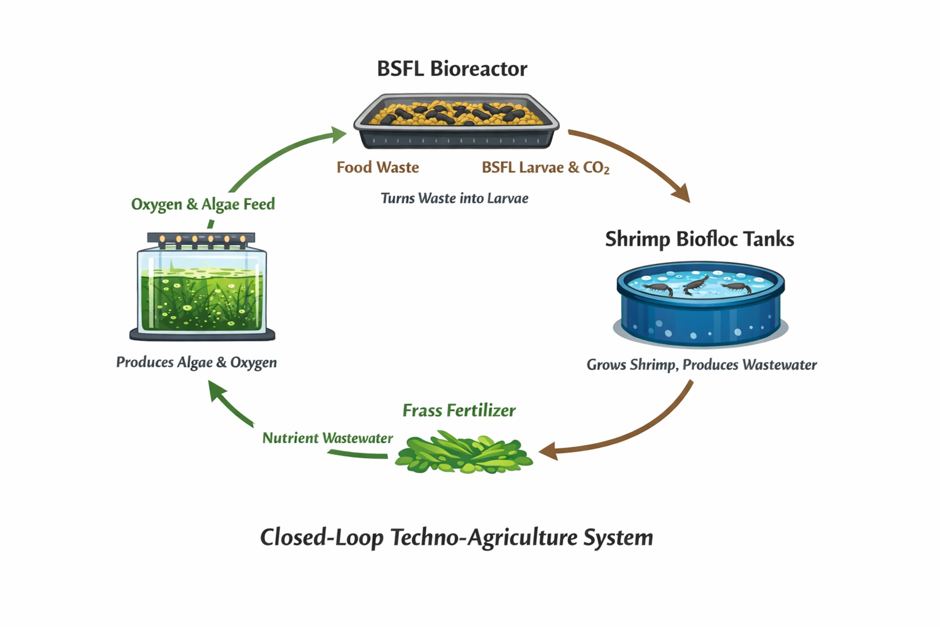 Oxygen and Algae Feed - BSFL Bioreactor - Shrimp Biofloc tanks - Frass fertilizer - Algae Feed