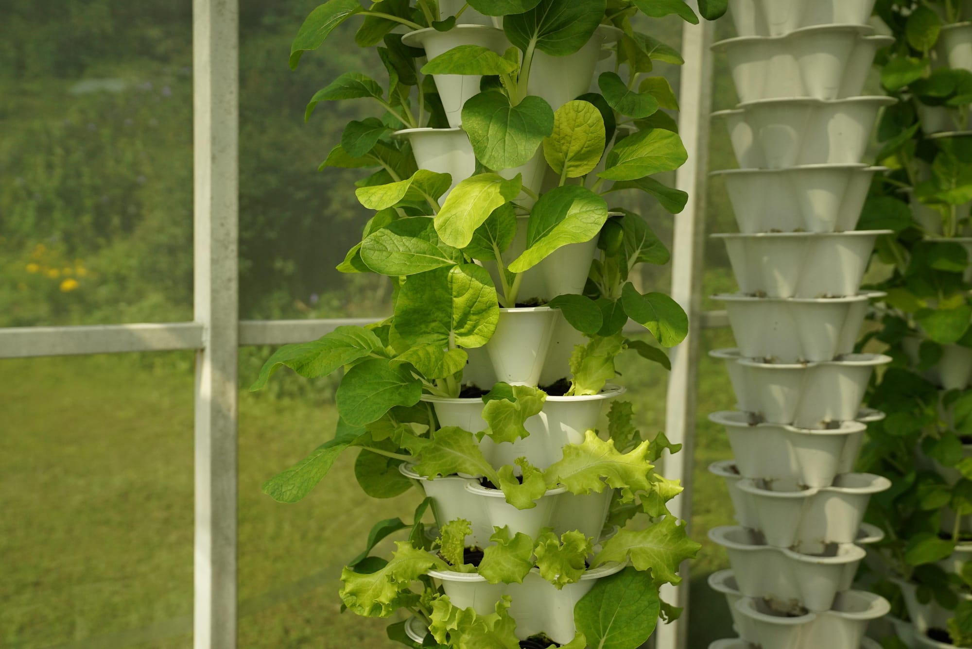 Urban Vegetable Cultivation Vertical Hydroponics