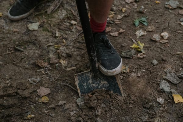 A person using a shovel to dig a small hole in the ground.